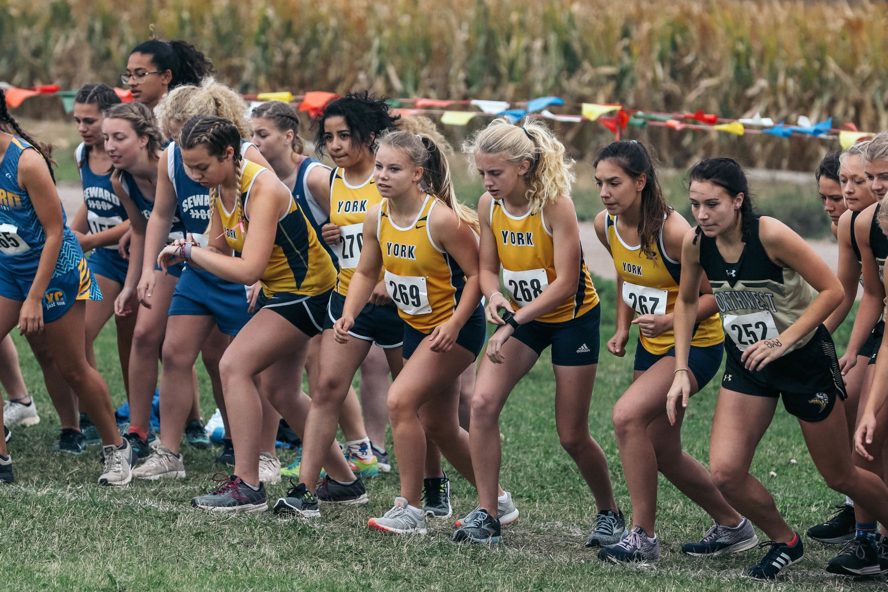 York Central Conference XC (3).jpg